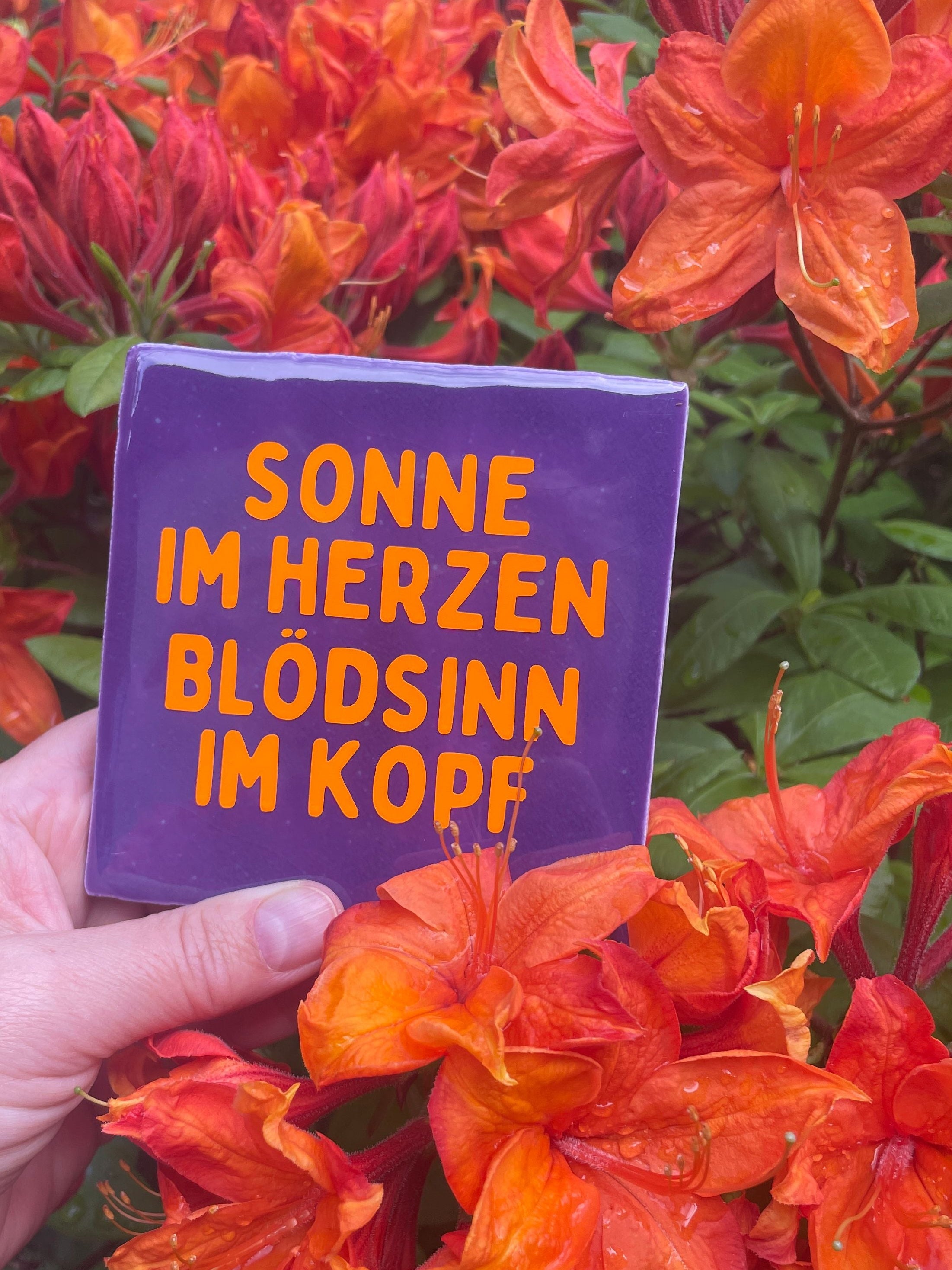 Kachel - Blödsinn im Kopf